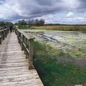 Tablas de Daimiel Tablas de Daimiel