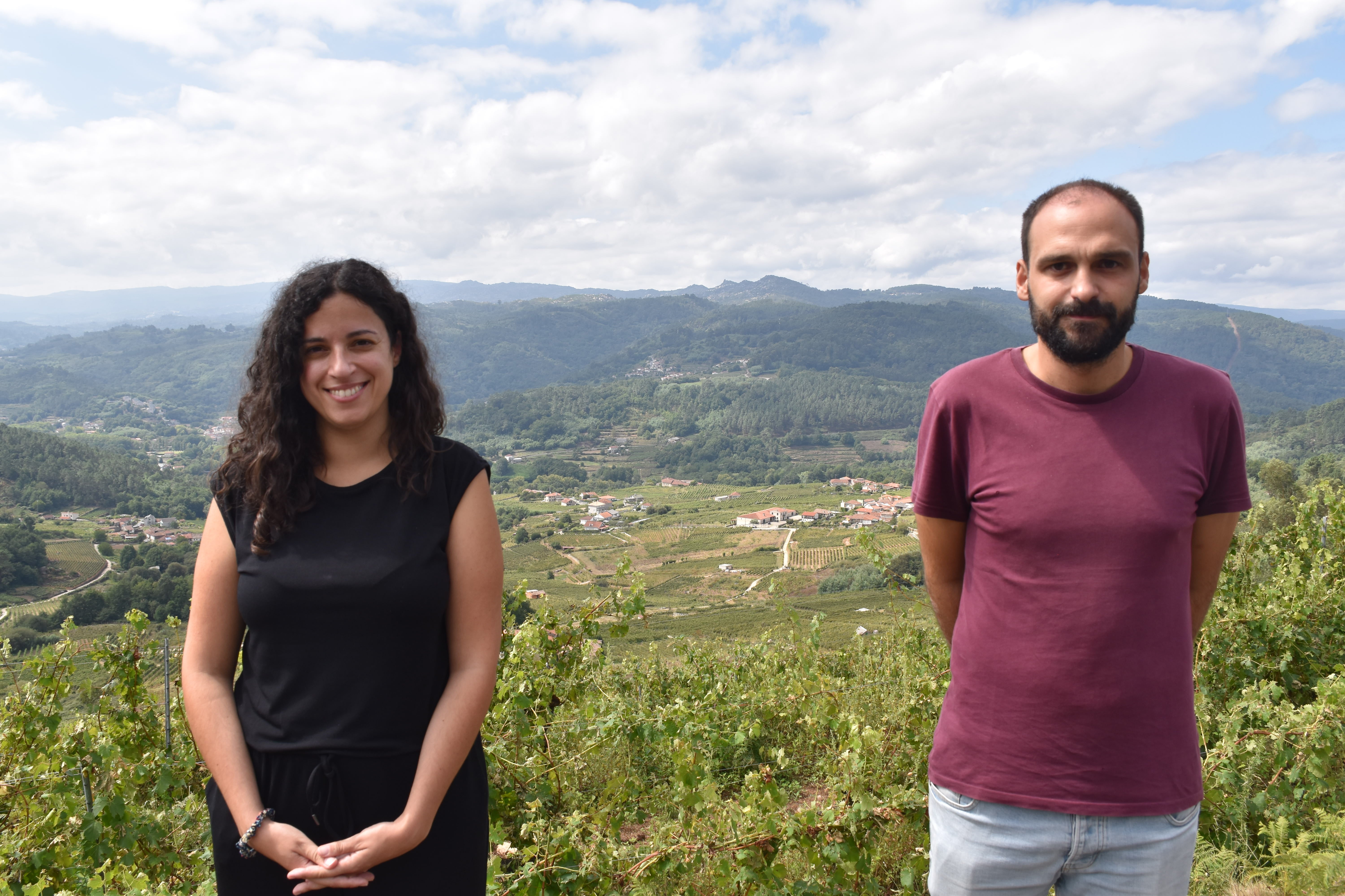 O BNG reclama axudas directas para as perdas no sector do viño no Ribeiro O BNG reclama axudas directas para as perdas no sector do viño no Ribeiro