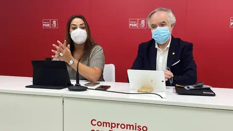 PSOE pide una revisión integral del PGOU en lugar de modificaciones puntuales Municipal