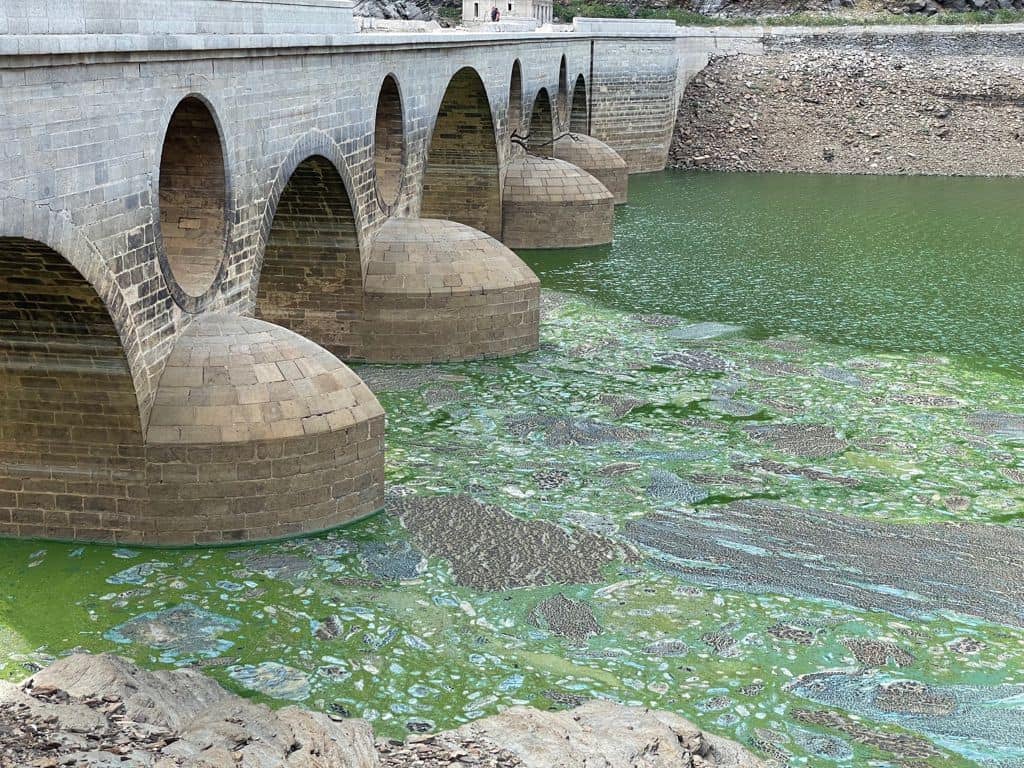 El Parque Nacional de Monfragüe afectado por los desembalses de Alcántara El Parque Nacional de Monfragüe afectado por los desembalses de Alcántara