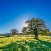 El aire, como todos sabemos, es esencial para la vida de todo lo que habita en el planeta Tierra El aire, como todos sabemos, es esencial para la vida de todo lo que habita en el planeta Tierra