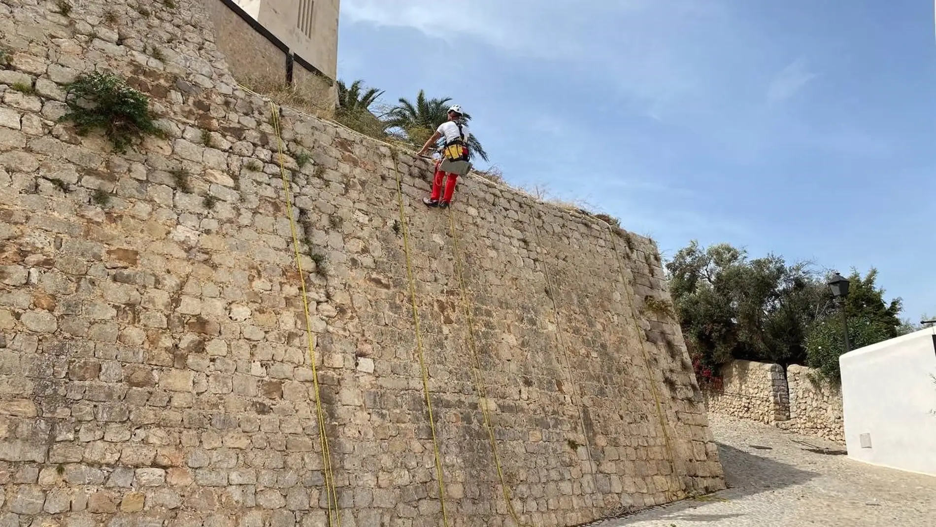 Comienzan los trabajos de eliminación de hierbas en las murallas renacentistas de Ibiza
