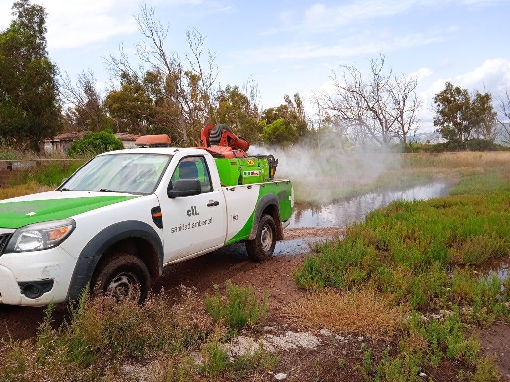 Benicàssim lucha contra los mosquitos Benicàssim lucha contra los mosquitos
