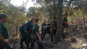 Los alumnos del programa RECUAL del Viso comenzarán con la recogida de la resina Los alumnos del programa RECUAL del Viso comenzarán con la recogida de la resina