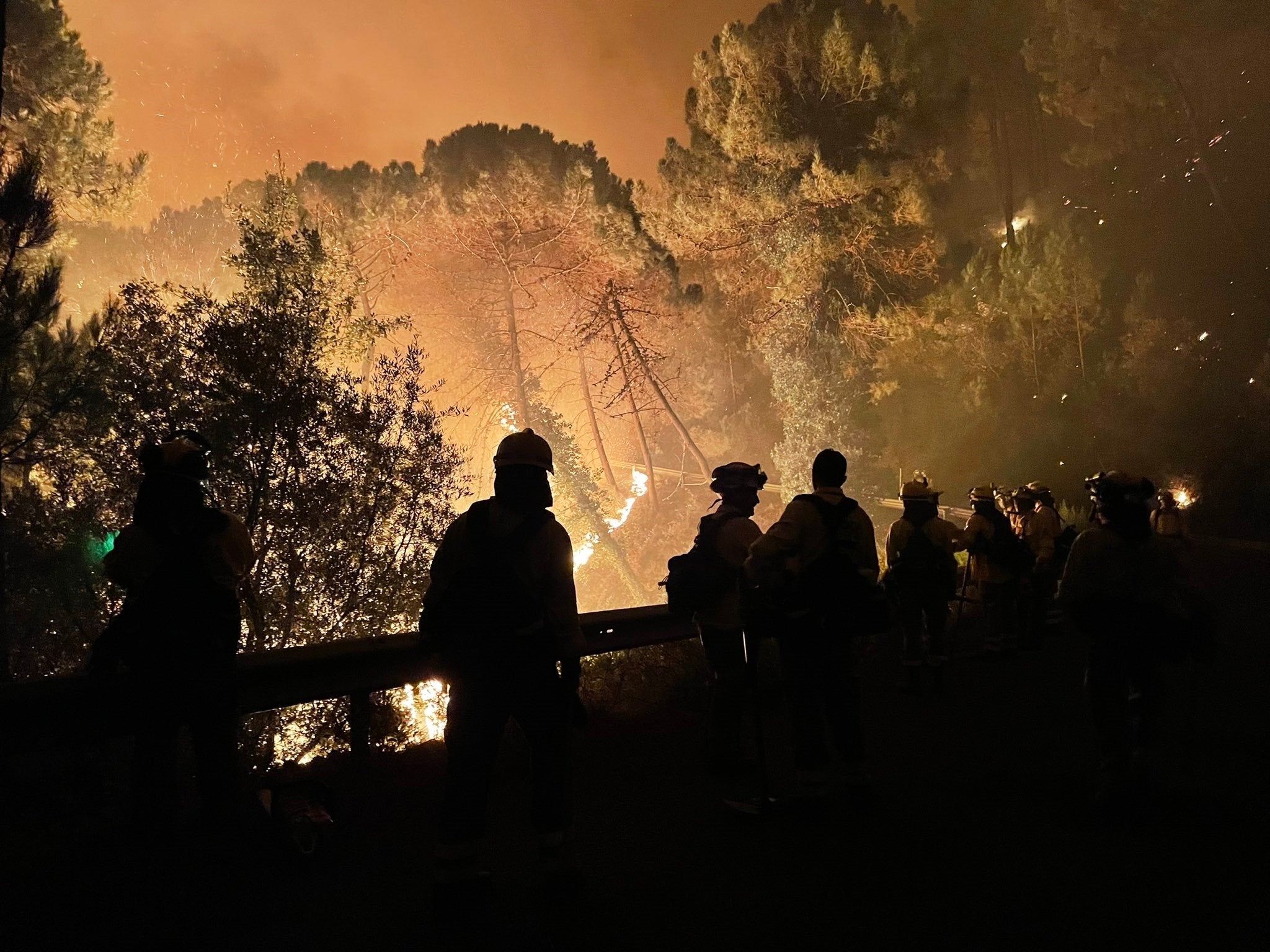 El incendio de Sierra Bermeja obliga a desalojar a 400 vecinos El incendio de Sierra Bermeja obliga a desalojar a 400 vecinos