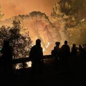 El incendio de Sierra Bermeja obliga a desalojar a 400 vecinos