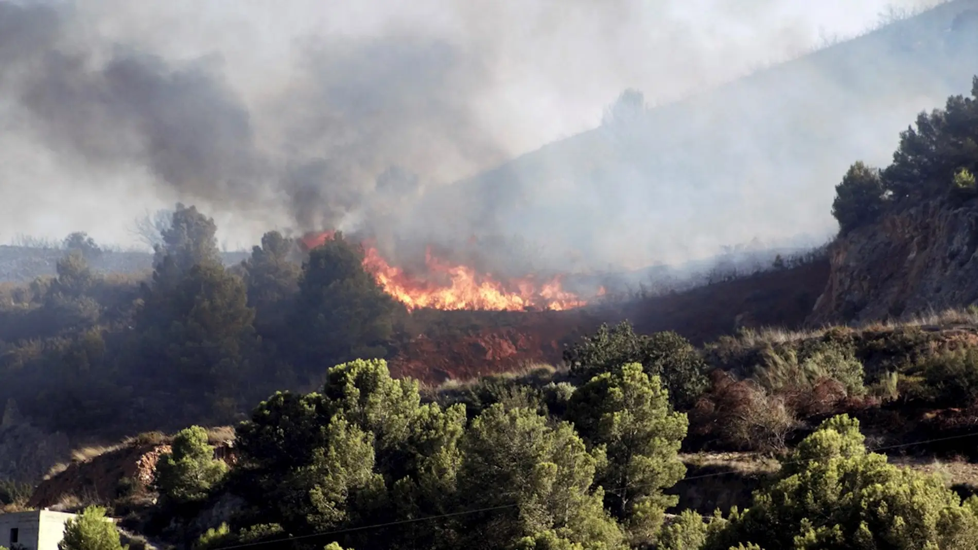 Más de 400 desalojados por un incendio forestal en Sierra Bermeja