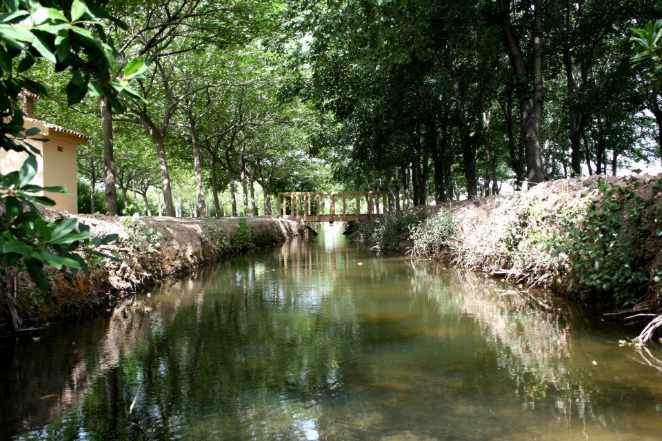 Los vecinos de la Marjaleria y el Serradal reclaman medidas ante el mal estado de la zona Los vecinos de la Marjaleria y el Serradal reclaman medidas ante el mal estado de la zona