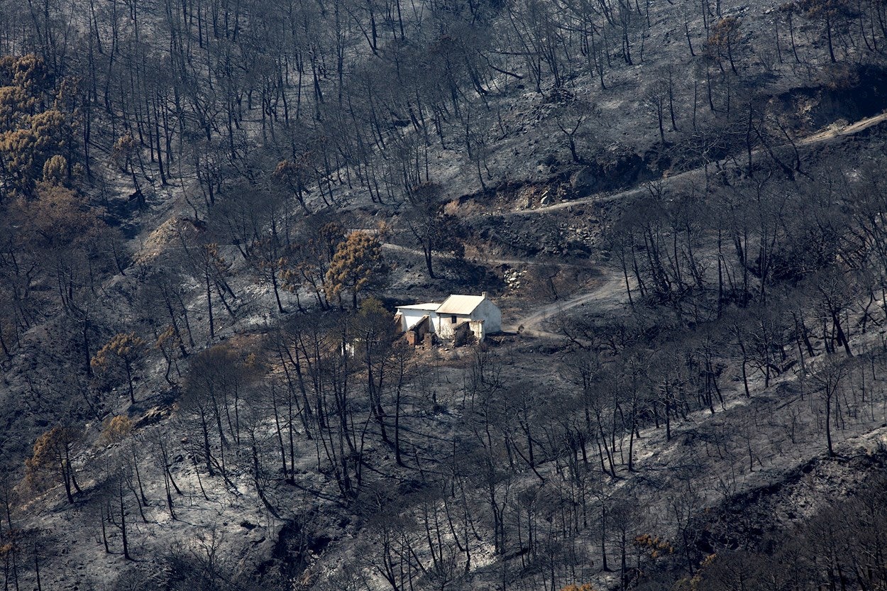 El incendio de Sierra Bermeja incrementa el riesgo de inundaciones en la costa occidental El incendio de Sierra Bermeja incrementa el riesgo de inundaciones en la costa occidental