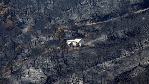 Vista general del incendio de Sierra Bermeja 