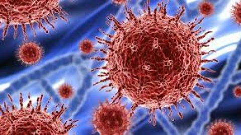 C&oacute;rdoba se mantiene como la provincia andaluza con la tasa m&aacute;s baja de contagios de los &uacute;ltimos d&iacute;as.