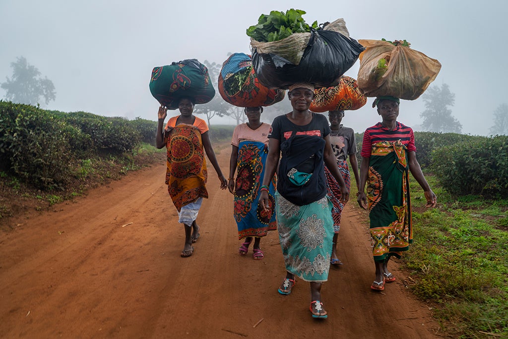 Contraparte - La 'Matria' de Mozambique, Yemen o México Contraparte - La 'Matria' de Mozambique, Yemen o México