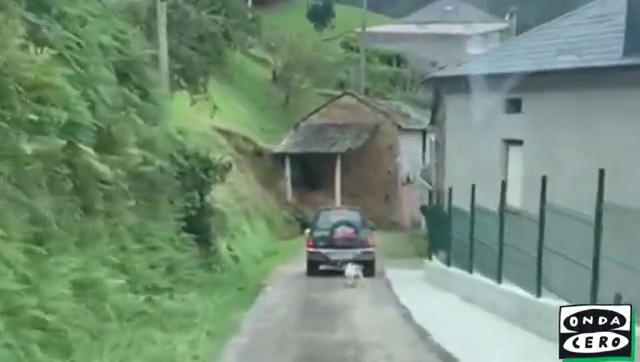 Sorprendido circulando con un perro atado con una cuerda al coche Sorprendido circulando con un perro atado con una cuerda al coche