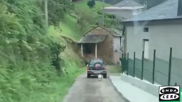 Sorprendido circulando con un perro atado con una cuerda al coche