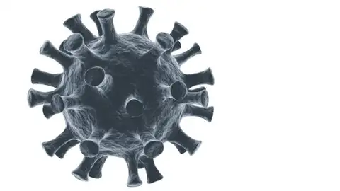Investigación galega na loita contra a covid Plataforma CovidPhy