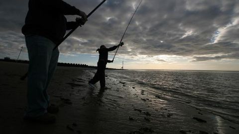 Pesca deportiva