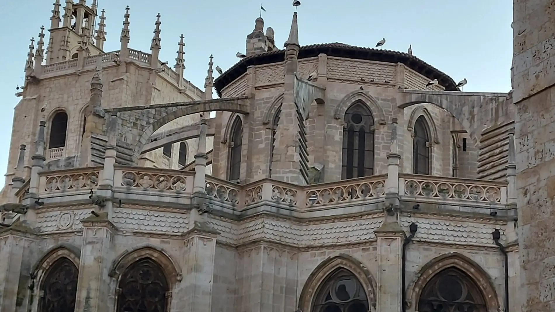 El historiador Antonio Cabeza cierra mañana el ciclo ‘Conociendo la catedral: espacios y funciones’ con la conferencia ‘La vida cotidiana en la catedral"