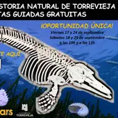 El museo de historia natural de Torrevieja se abre en torno a la noche europea de los investigadores el próximo viernes El museo de historia natural de Torrevieja se abre en torno a la noche europea de los investigadores el próximo viernes