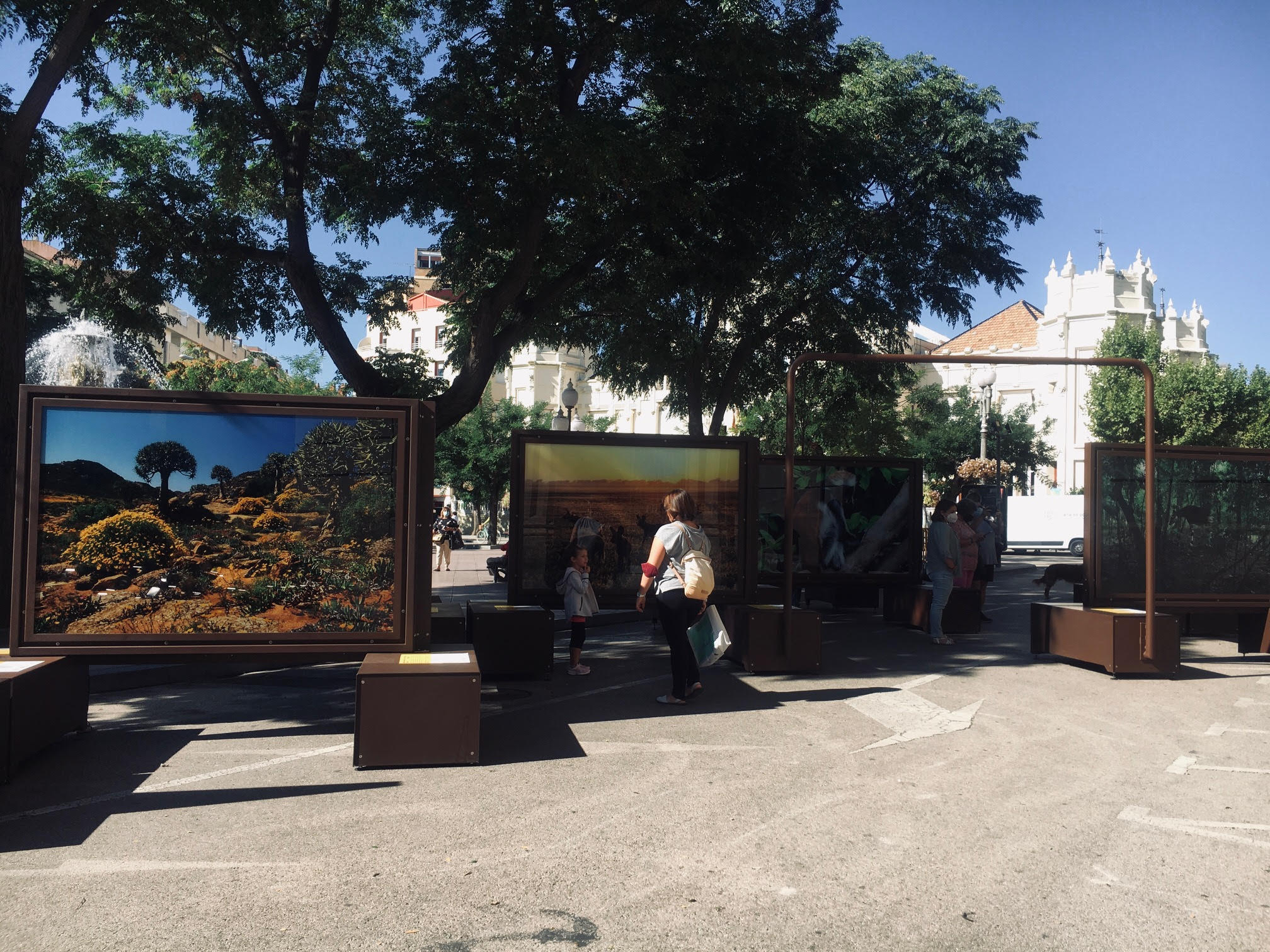 "De Polo a Polo” traslada los últimos paraísos del planeta al centro de Huesca "De Polo a Polo” traslada los últimos paraísos del planeta al centro de Huesca