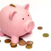 Salario mínimo Salario mínimo