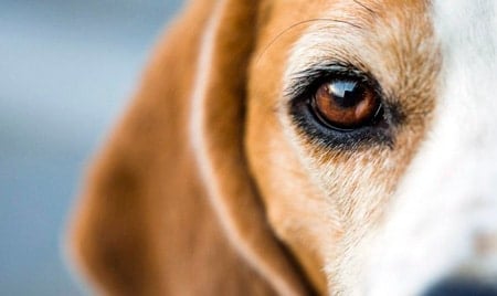 Autoestima y Autonomía para las víctimas de violencia de género Autoestima y Autonomía para las víctimas de violencia de género