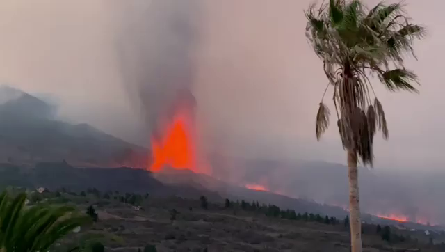 Tertulia: ¿Cómo se articulan las ayudas para las víctimas de La Palma? Tertulia: ¿Cómo se articulan las ayudas para las víctimas de La Palma?