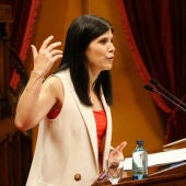 Marta Vilalta, en una intervenció al Parlament. 