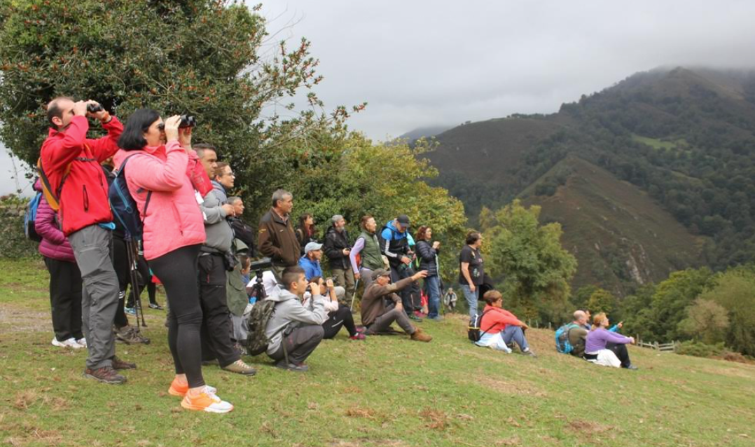 Vuelven las visitas guiadas por grupos a la berrea del venado en la sierra de Peñamayor Vuelven las visitas guiadas por grupos a la berrea del venado en la sierra de Peñamayor