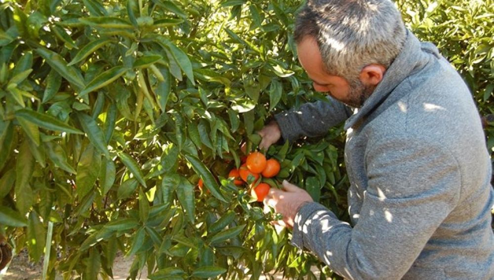 La Unió exige medidas al Ministerio y a la Comisión Europea La Unió exige medidas al Ministerio y a la Comisión Europea