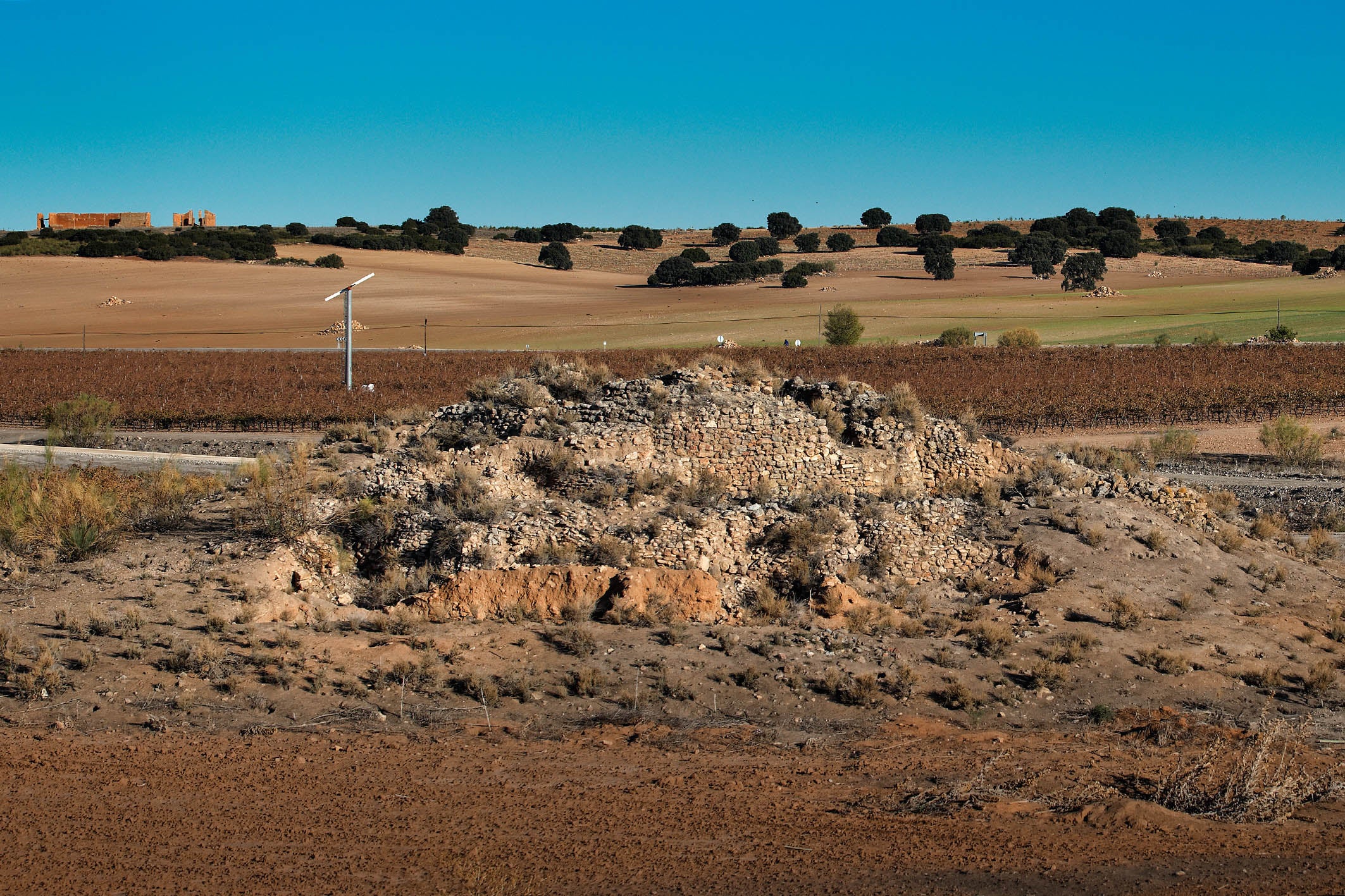 La motilla del Retamar abre su campaña de investigaciones arqueológicas La motilla del Retamar abre su campaña de investigaciones arqueológicas