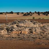 La motilla del Retamar abre su campaña de investigaciones arqueológicas