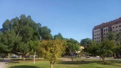 Parque en Elche. Parque en Elche.