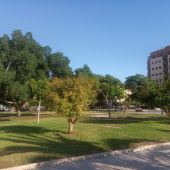Parque en Elche.