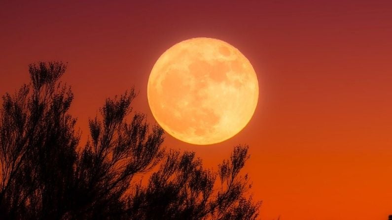 El Equinoccio de Otoño o la magia de la equidad El Equinoccio de Otoño o la magia de la equidad