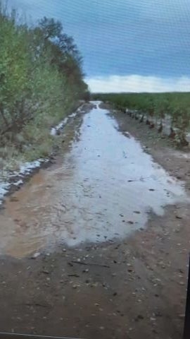 La tormenta causó importantes daños en el campo de Villarrubia de los Ojos La tormenta causó importantes daños en el campo de Villarrubia de los Ojos