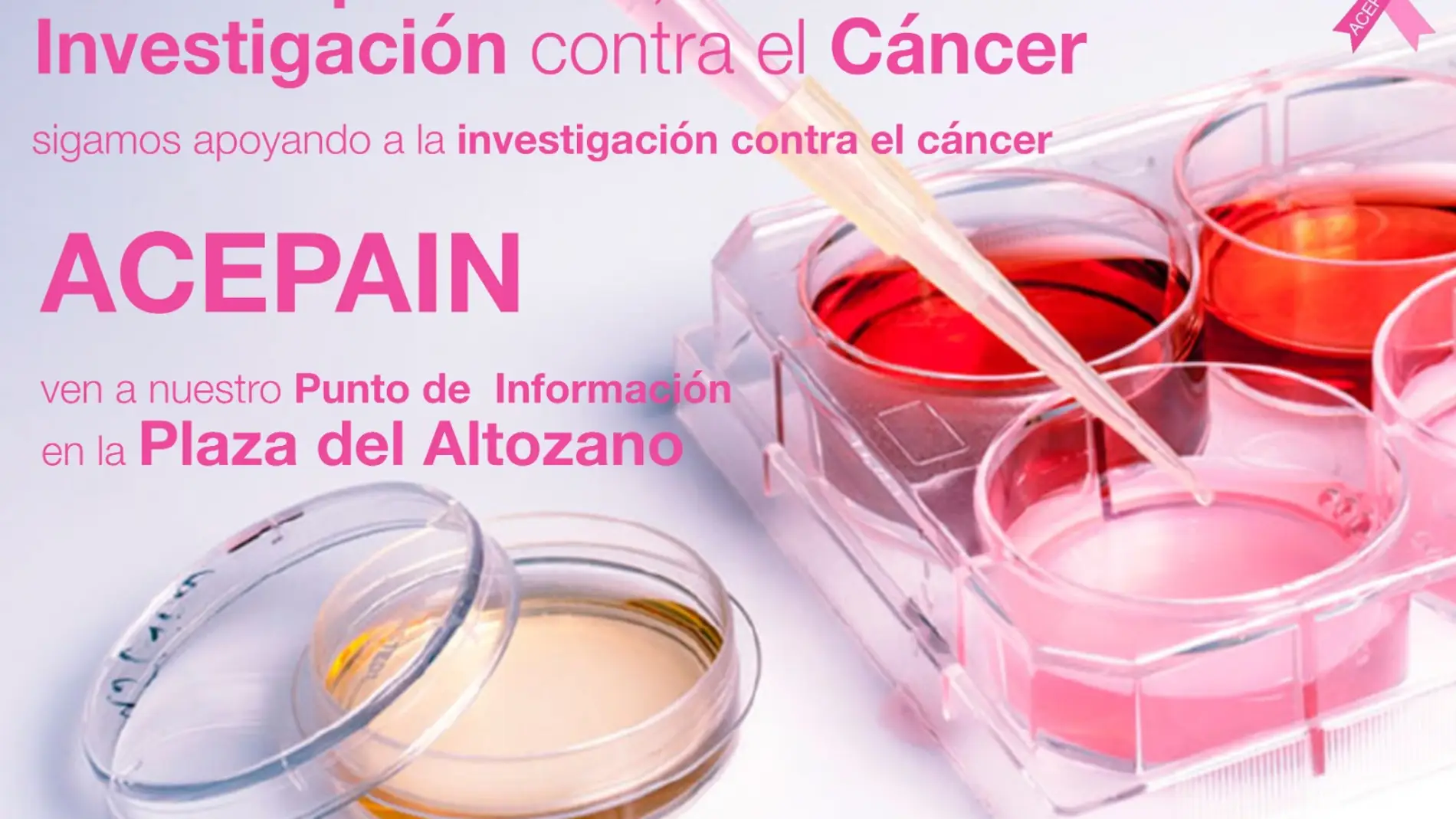 Cuestación para recaudar fondos para la investigación contra el cáncer 