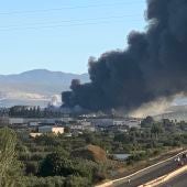 Incendio Jamones Oro 