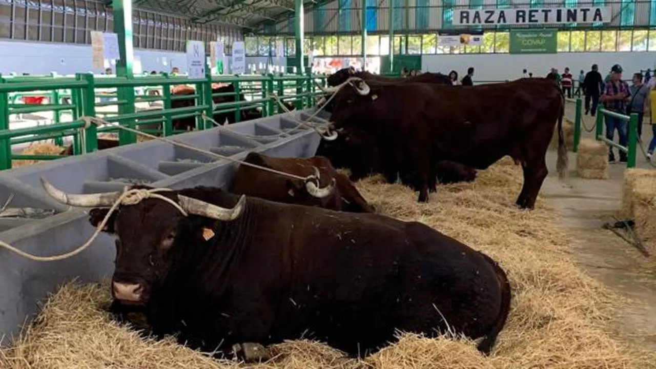 Una jornada técnica de la Cámara de Comercio de Badajoz da a conocer en Zafra el mercado de México