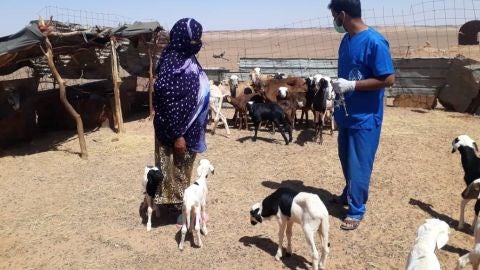Proyecto veterinario de Alouda