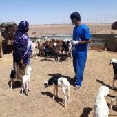 Proyecto veterinario de Alouda