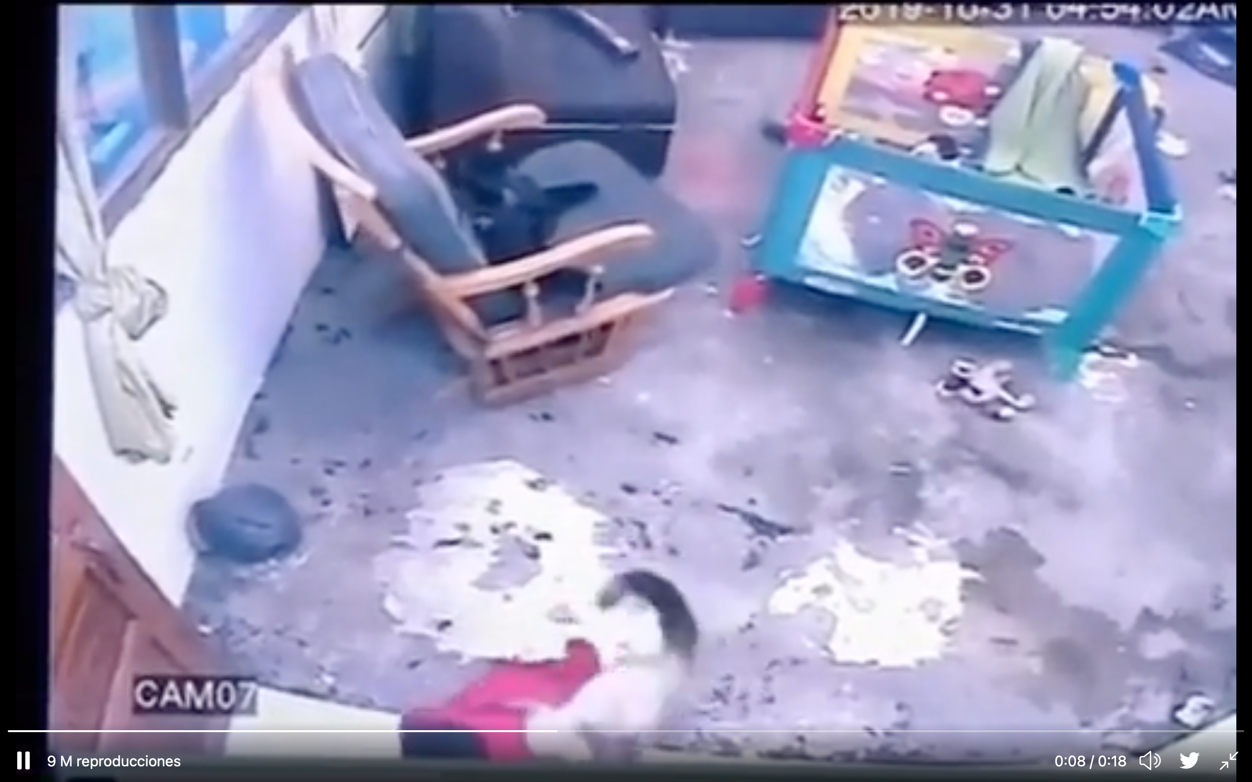 ¿Pueden los gatos responder a su nombre o proteger a los miembros de su familia como los perros? ¿Pueden los gatos responder a su nombre o proteger a los miembros de su familia como los perros?