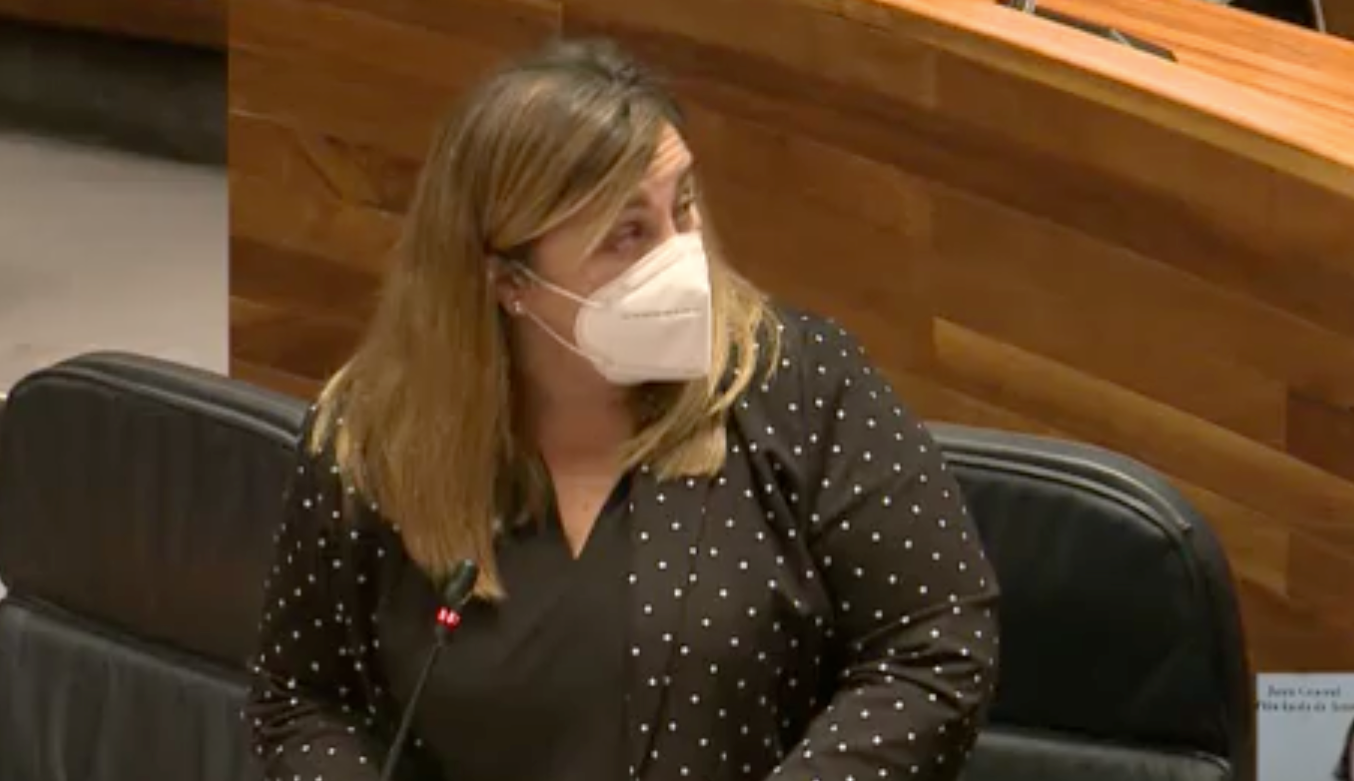 La Junta General debatió esta mañana el manifiesto leído en el Instituto de Ribadesella durante la huelga del 8 de marzo La Junta General debatió esta mañana el manifiesto leído en el Instituto de Ribadesella durante la huelga del 8 de marzo