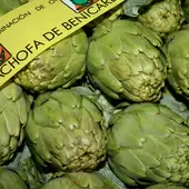 Alcachofa de Benicarló. Alcachofa de Benicarló.