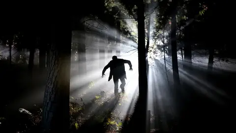 Un vampiro en un bosque Un vampiro en un bosque