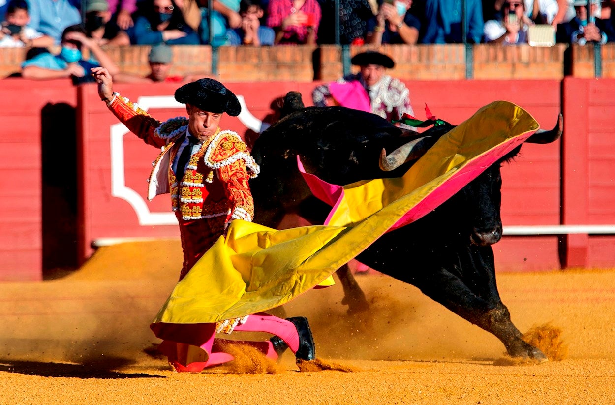 Desde la Federación Taurina Extremeña se dice que es un fraude de Ley excluir a los toros del Bono Cultural cuando están reconocidos como Patrimonio Cultural desde el Gobierno de Zapatero Desde la Federación Taurina Extremeña se dice que es un fraude de Ley excluir a los toros del Bono Cultural cuando están reconocidos como Patrimonio Cultural desde el Gobierno de Zapatero