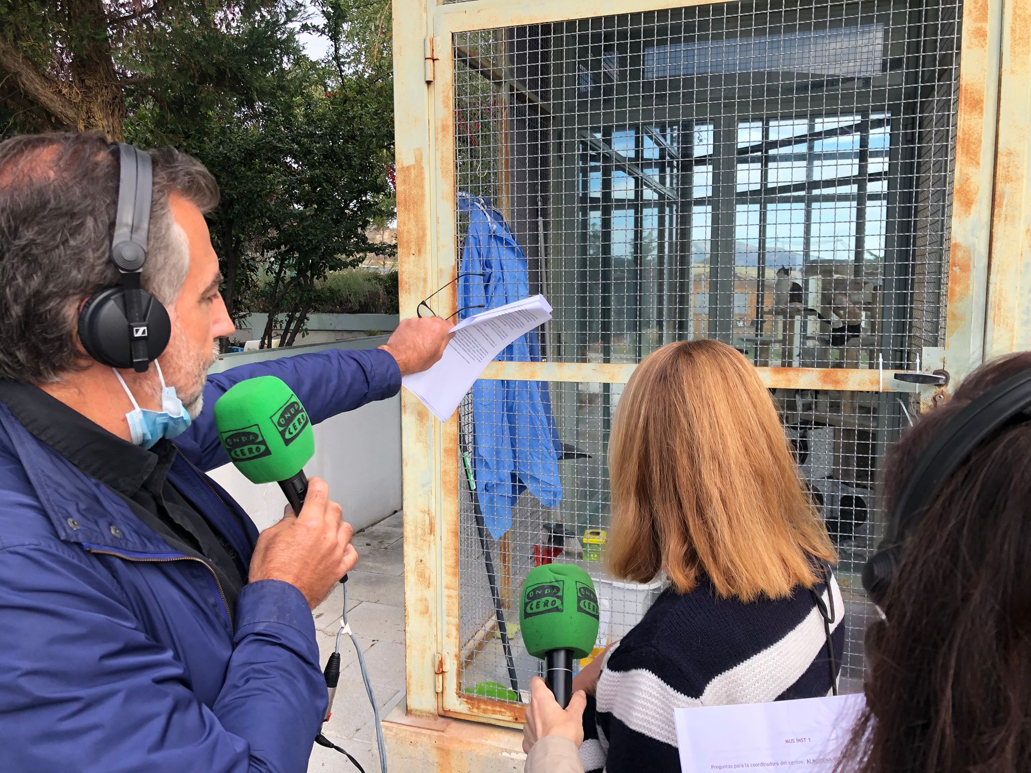 Así llegan los perros a los centros de acogida: Traumas psicológicos y patologías evitables Así llegan los perros a los centros de acogida: Traumas psicológicos y patologías evitables