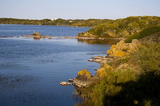 Menorca celebra el 28 aniversario de la declaración de Reserva de Biosfera Menorca celebra el 28 aniversario de la declaración de Reserva de Biosfera