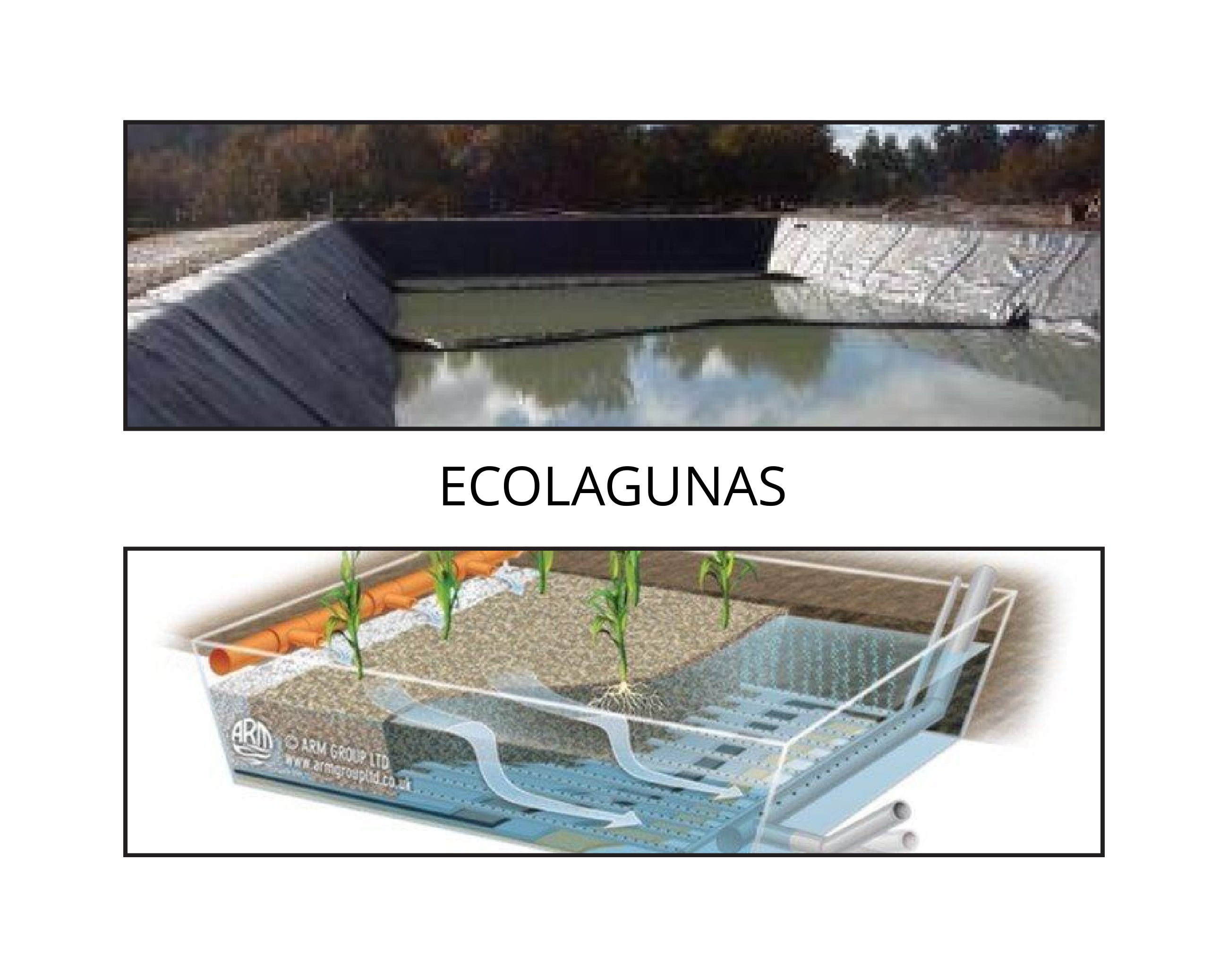 "Depuraleza" Depuración natural del agua para pueblos pequeños "Depuraleza" Depuración natural del agua para pueblos pequeños