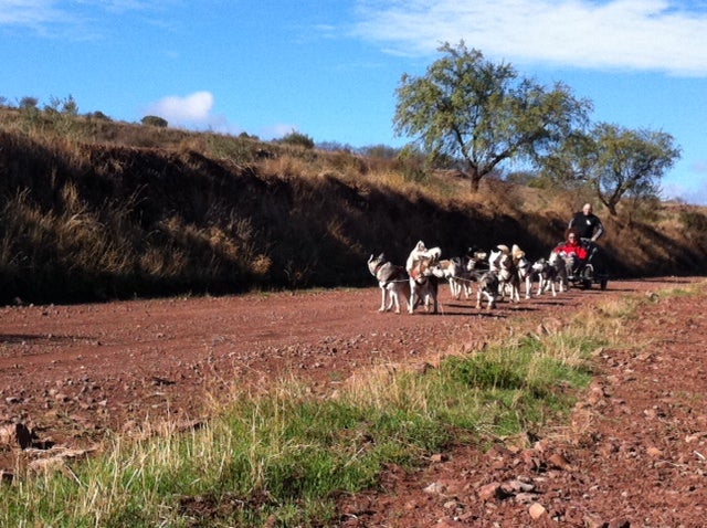 Actividades para disfrutar de los viñedos y de la naturaleza Actividades para disfrutar de los viñedos y de la naturaleza
