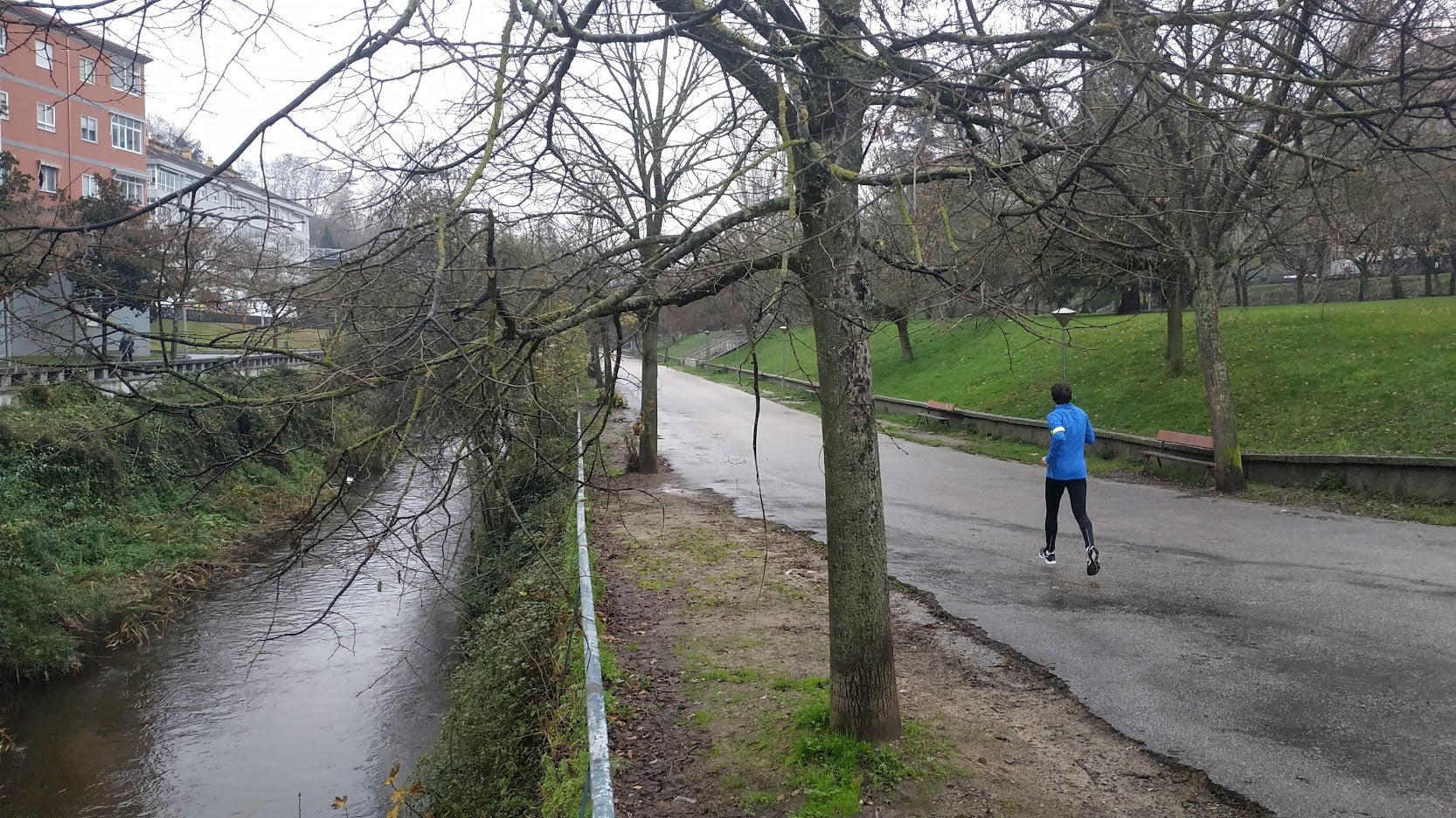 O Concello de Ourense inicia os traballos de poda do arboredo das zonas verdes e viarias da cidade O Concello de Ourense inicia os traballos de poda do arboredo das zonas verdes e viarias da cidade